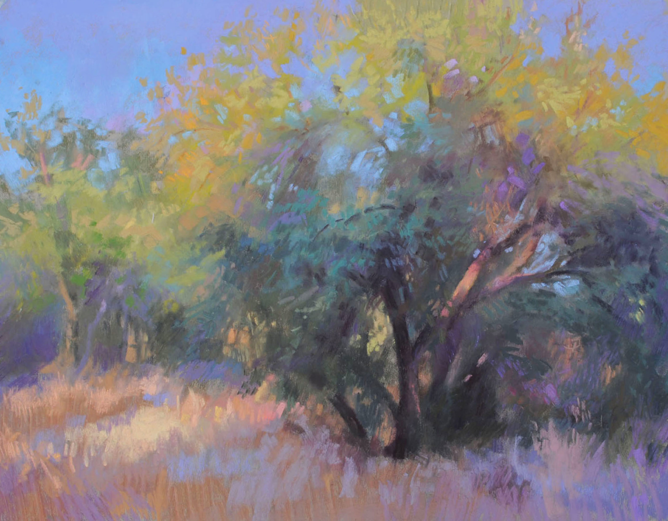Christine Debrosky, "Big Old Mesquite," pastel