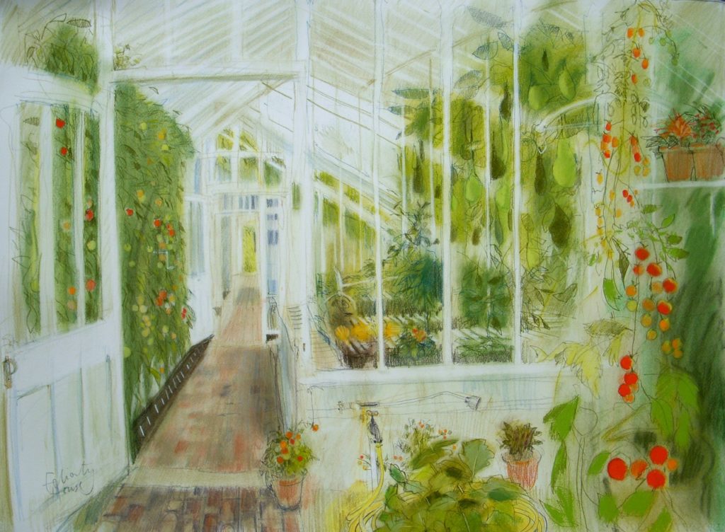 Felicity House, "Greenhouse Tomatoes", pastel on Hot Pressed watercolour paper, approx 56 x 64 cm.