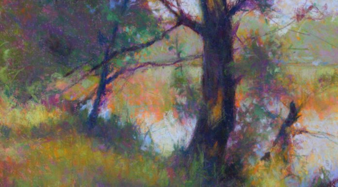 Doug Dawson, Bear Creek Park, pastel, 15 1/2 x 19 in - detail