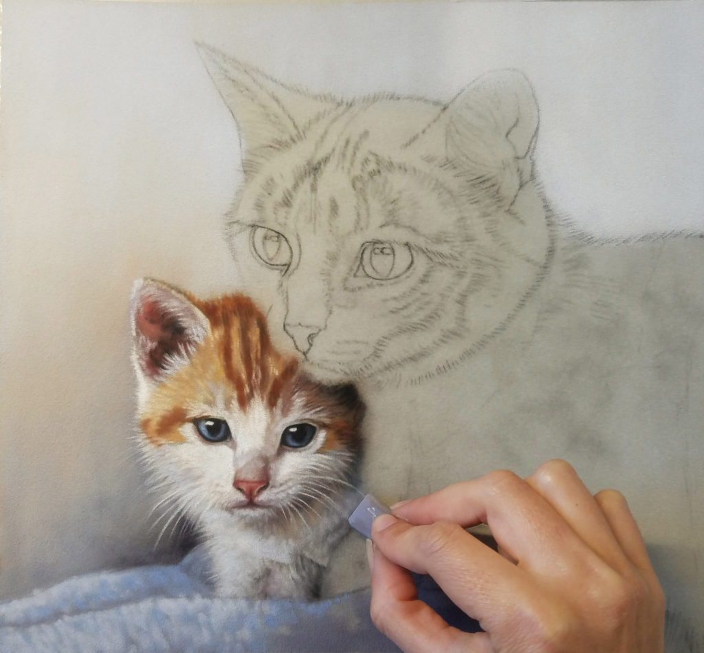 Grey 8 in use: Emma Colbert, "Kitten and Mum" in progress, soft pastels on Velour paper, 10 x 12 in