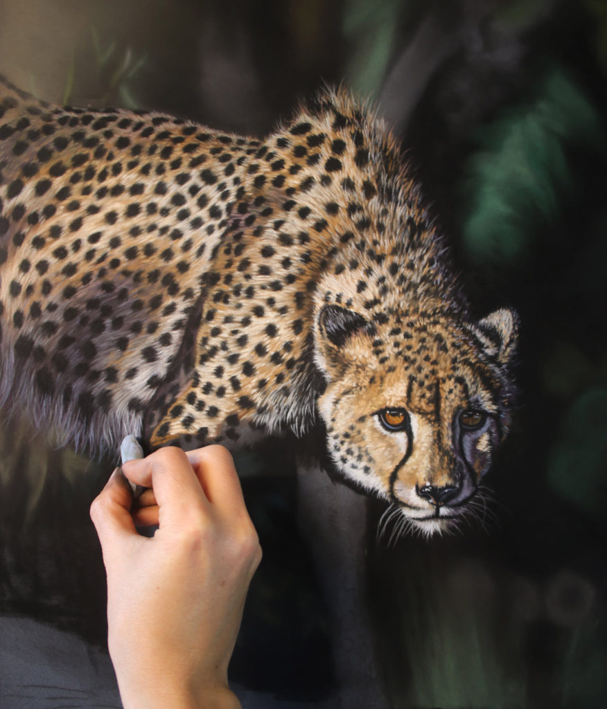 Grey 8 in use: Emma Colbert, "Cheetah," soft pastel on Pastelmat, 24 x 18in