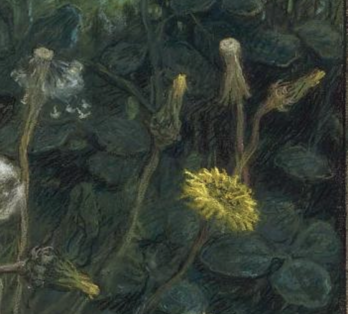 Jean-François Millet, "Dandelions," 1867-8, pastel on tan wove paper, 16 x 19 3/4 in (40.6 x 50.2 cm), Museum of Fine Arts, Boston, Massachusetts, USA - detail showing the yellow flower