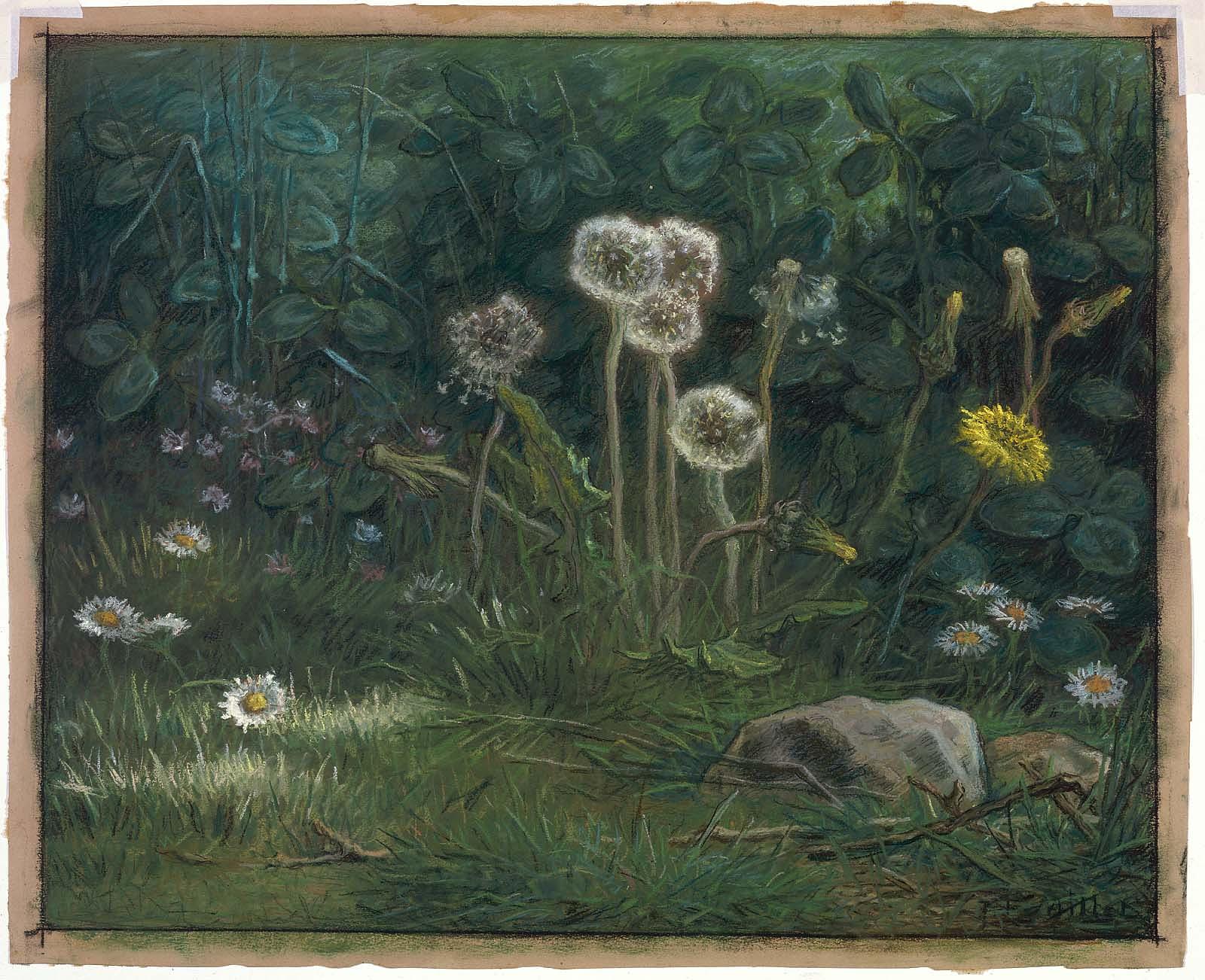 Jean-François Millet, "Dandelions," 1867-8, pastel on tan wove paper, 16 x 19 3/4 in (40.6 x 50.2 cm), Museum of Fine Arts, Boston, Massachusetts, USA