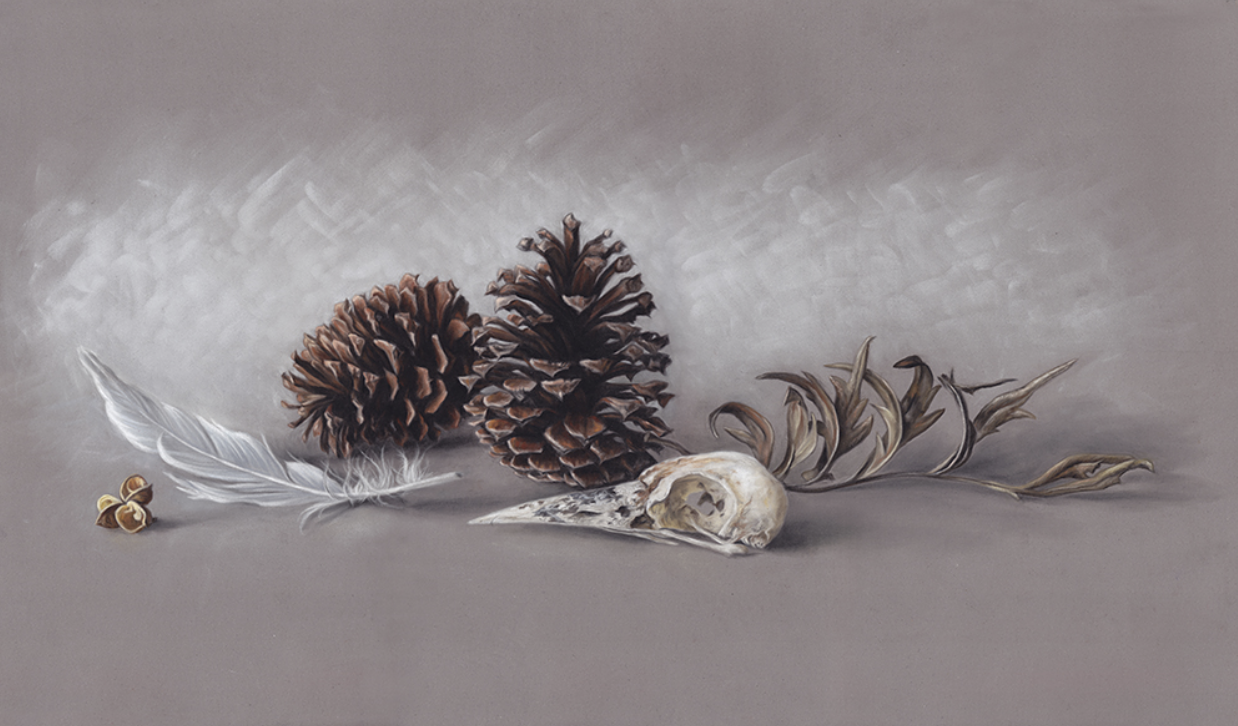 Alex Louisa, "Pieces and Pinecones," 2013, PanPastel on Pastelmat, 16 x 28 in.