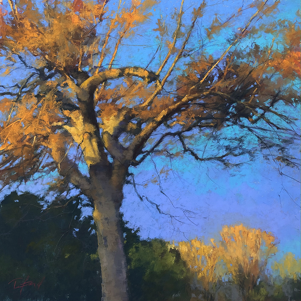 Pastel Society of America exhibition: Terri Ford, "Morning Amber," pastel, 18 x 18 in