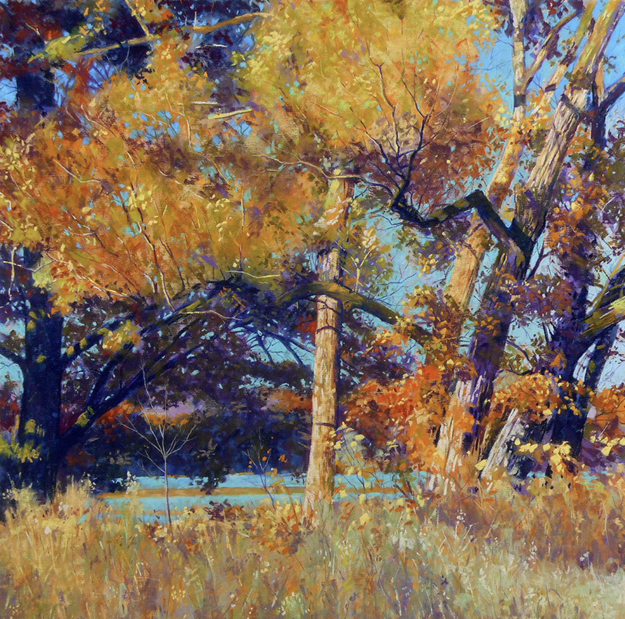 Autumn paintings - Clarence Porter, "Walk in Cootes Paradise IX," pastel, 21 x 21 in.