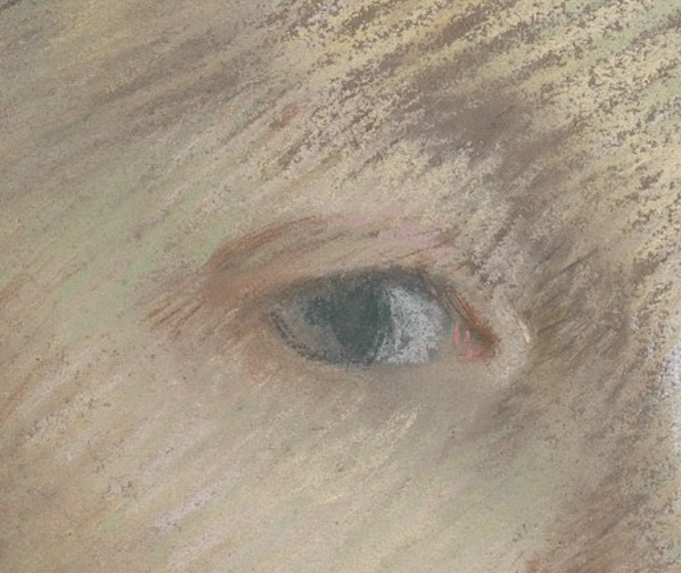 Edgar Degas, "The Artist's Cousin, Probably Mrs. William Bell (Mathilde Musson)," 1873, pastel on green wove paper, now darkened to brown, 18 5/8 x 15 1/8 in (47.3 x 38.4 cm), The Met, New York, USA. Detail - one eye
