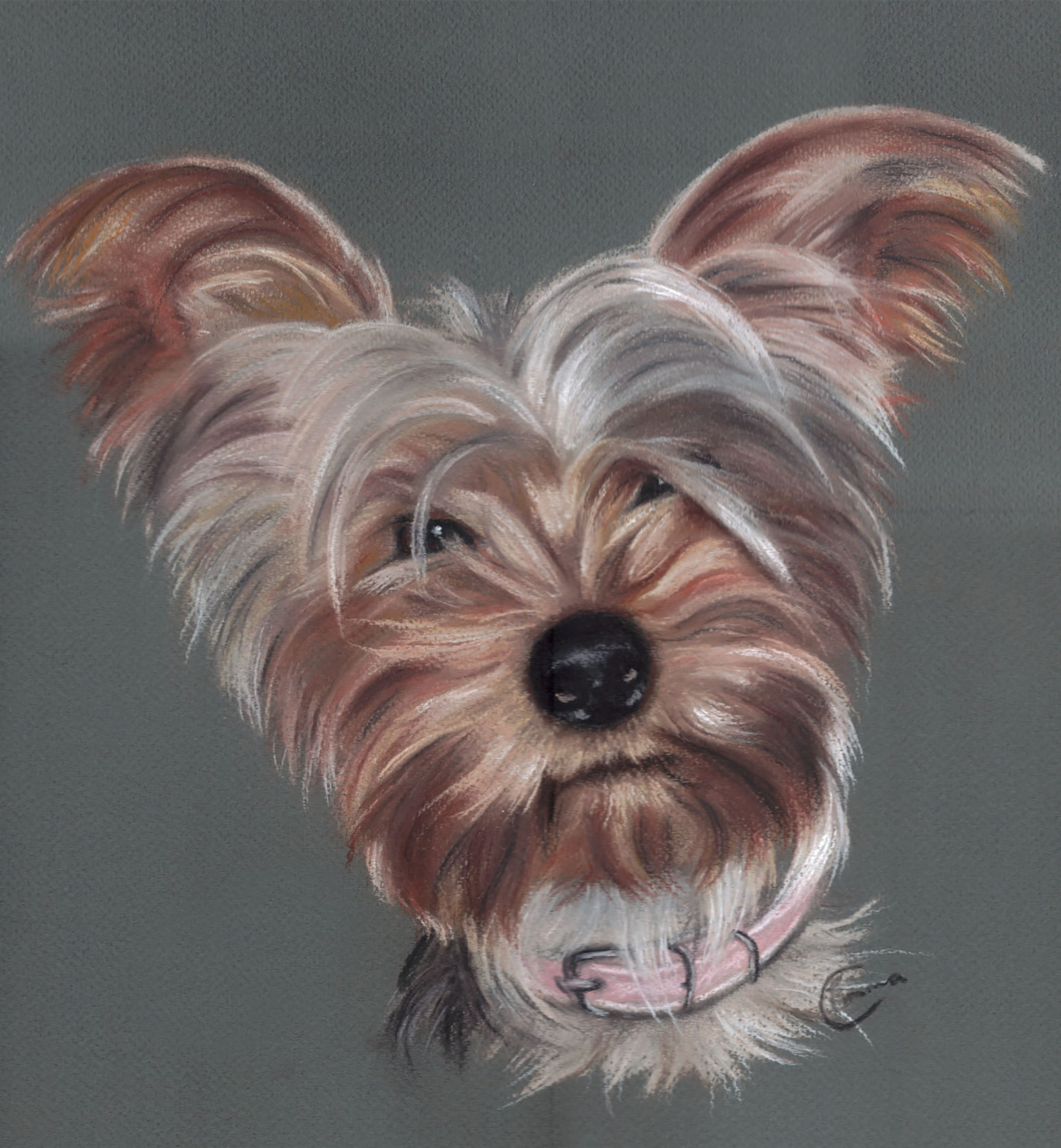 Emma Colbert, Early dog portrait, cheap pastels on Ingres paper, 12 x 12 in