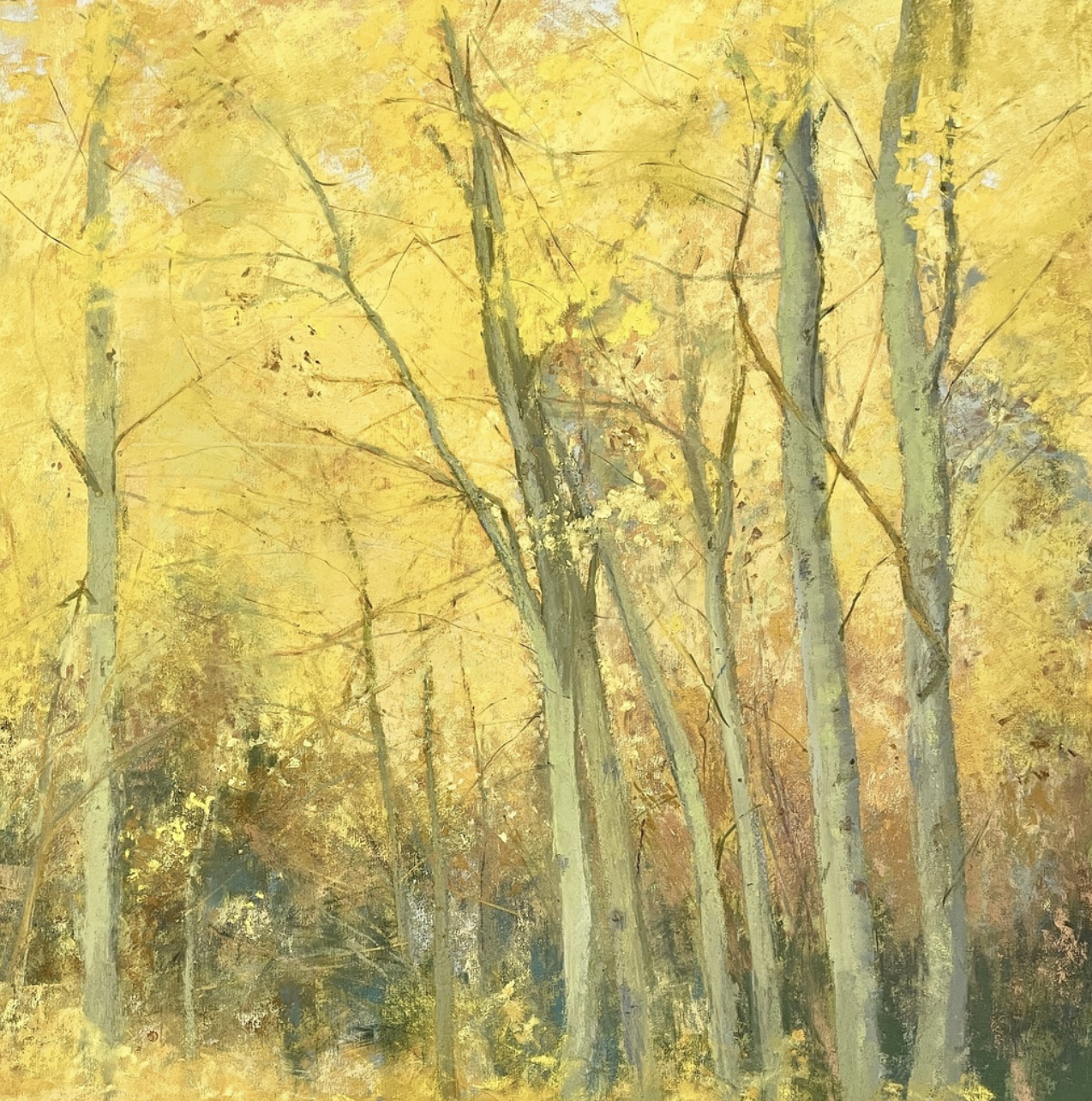 Autumn paintings - Maureen Spinale, "Bliss," pastel on sand paper mounted on Gatorboard, 22 x 22 in.