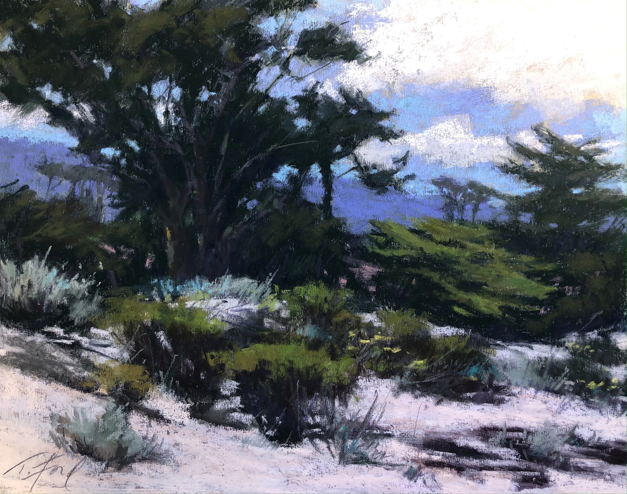 Terri Ford, "Dune Foliage," pastel, 11x14 in. 2nd Place award at Carmel Plein Air Festival 2022