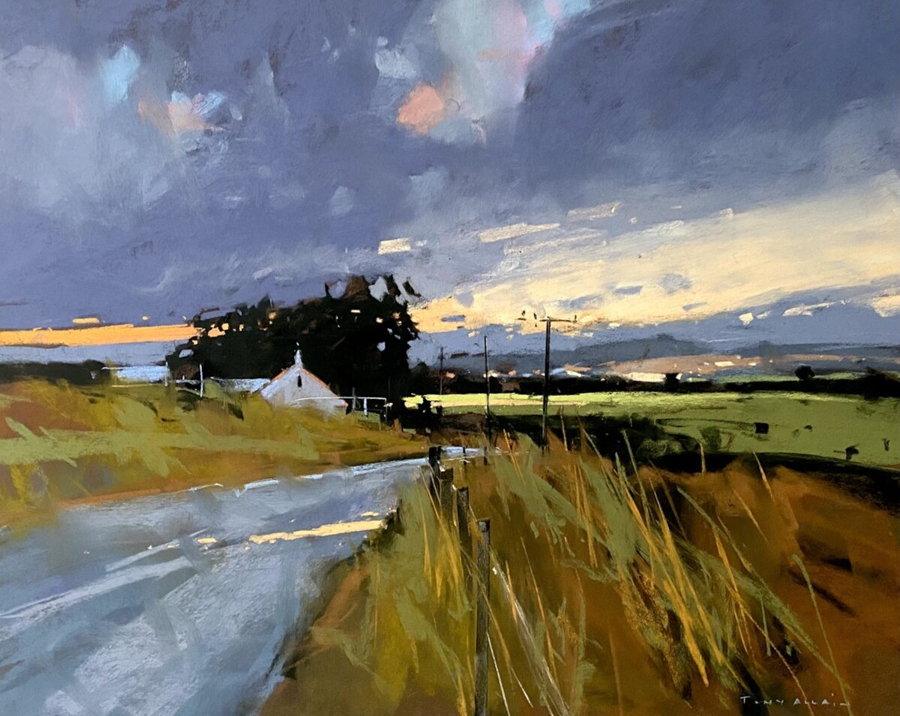 Tony Allain, "Sunset over Braco Rd," pastel, 20 x 25 in. Prix de Pastel. IAPS 9th Master Circle Division.