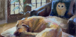 Barbara Berry, "New Year's Nap," pastel, 11 x 14 in. October 2022 Best Animals and Birds Award