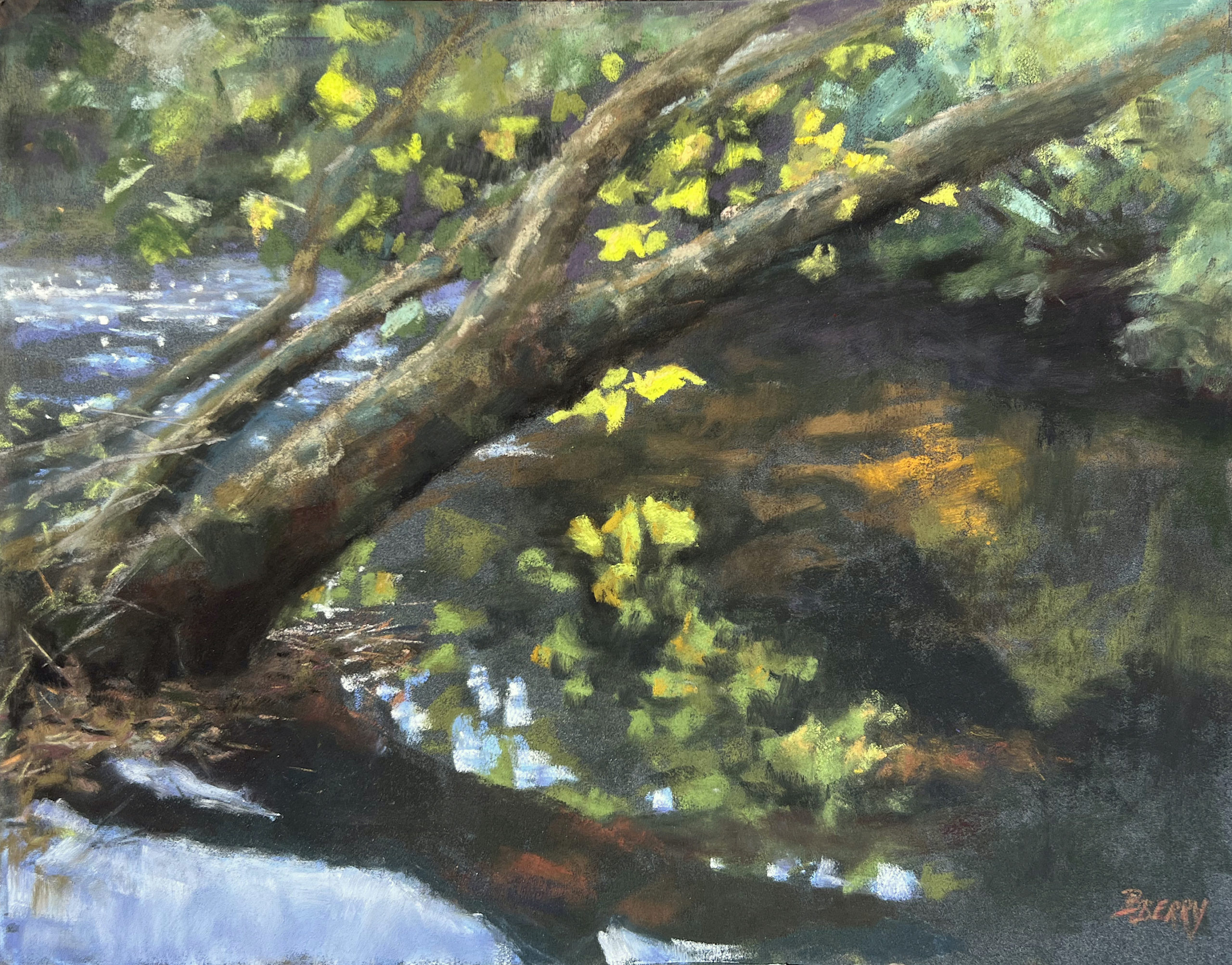 Barbara Berry, "September Sycamore," pastel on Lux Archival, 11 x 14 in.