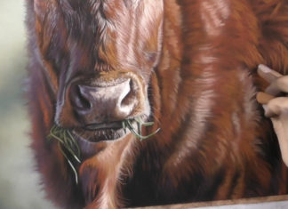 Emma Colbert, Cow demo, mostly Unison Colour pastels on Pastelmat, 16 x 16 in - detail. progress 1
