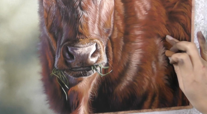 Emma Colbert, Cow demo, mostly Unison Colour pastels on Pastelmat, 16 x 16 in - detail. progress 1
