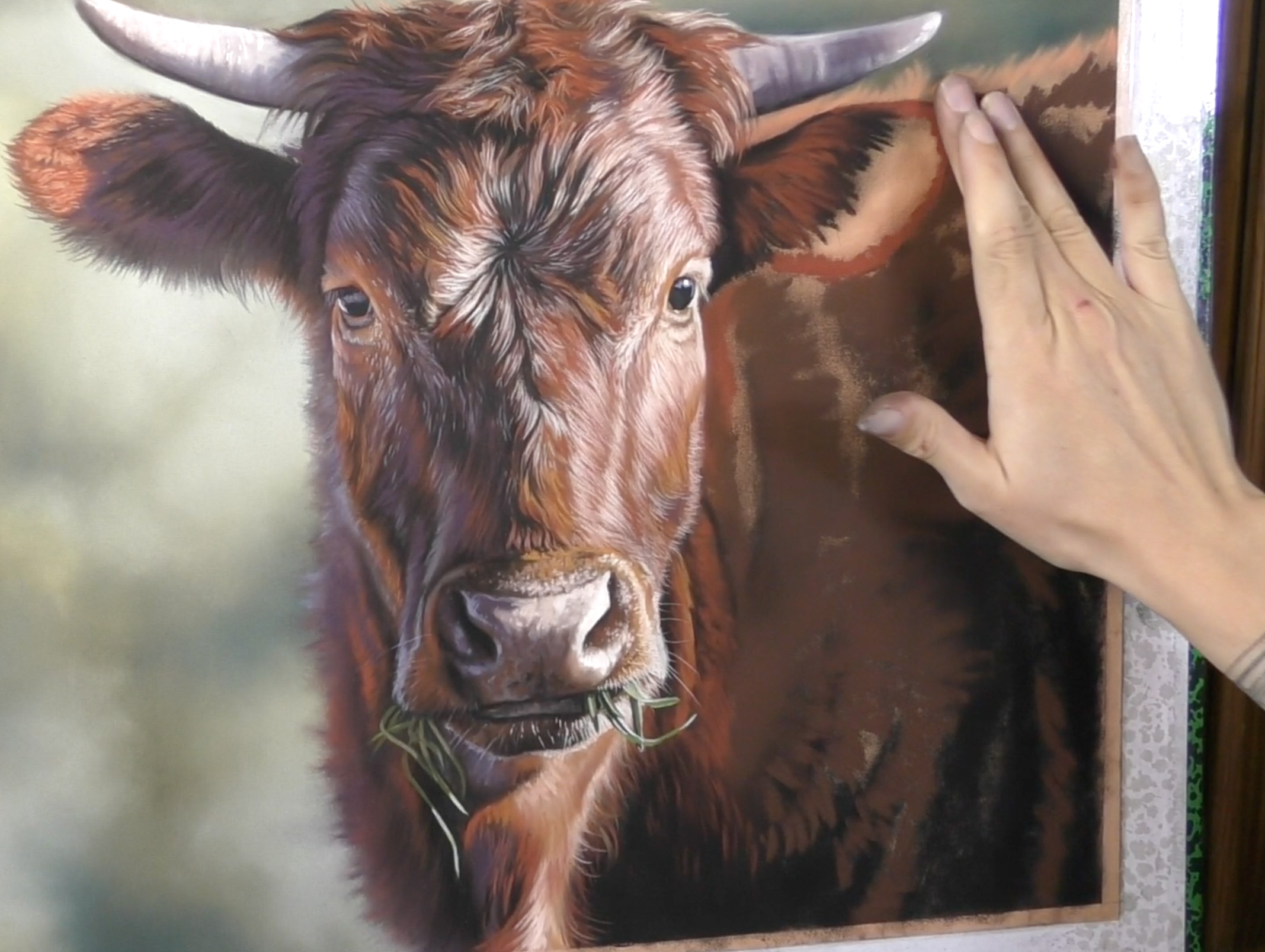 Using fixative: Emma Colbert, Cow demo, mostly Unison Colour pastels on Pastelmat, 16 x 16 in -progress 1