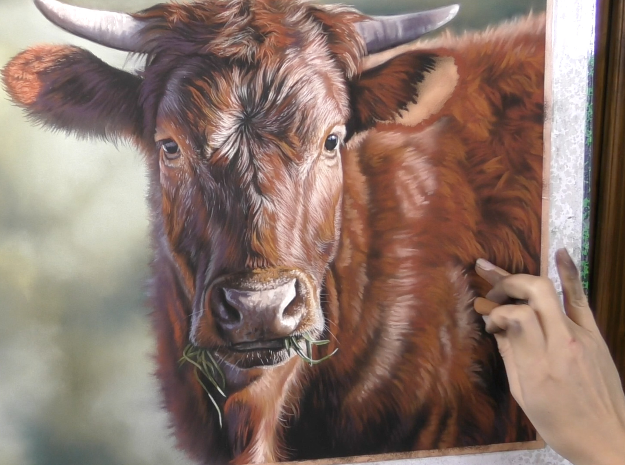 Using fixative: Emma Colbert, Cow demo, mostly Unison Colour pastels on Pastelmat, 16 x 16 in. - progress3