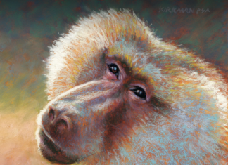 Monkey Day-Rita Kirkman, "B is for Baboon," pastel, 8 x 8 in - detail