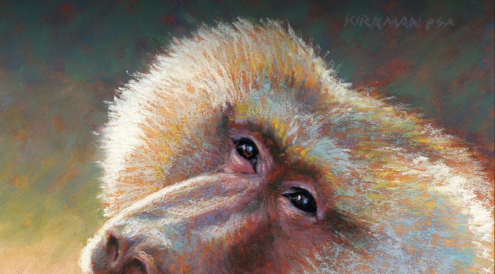 Monkey Day-Rita Kirkman, "B is for Baboon," pastel, 8 x 8 in - detail