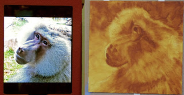 Rita Kirkman - reference photo and the start of "B is for Baboon."
