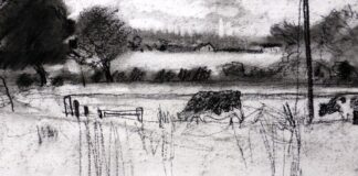 Felicity House - Charcoal 2 - detail
