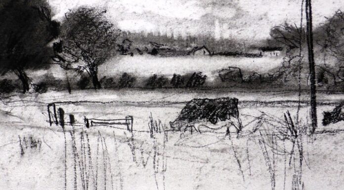 Felicity House - Charcoal 2 - detail