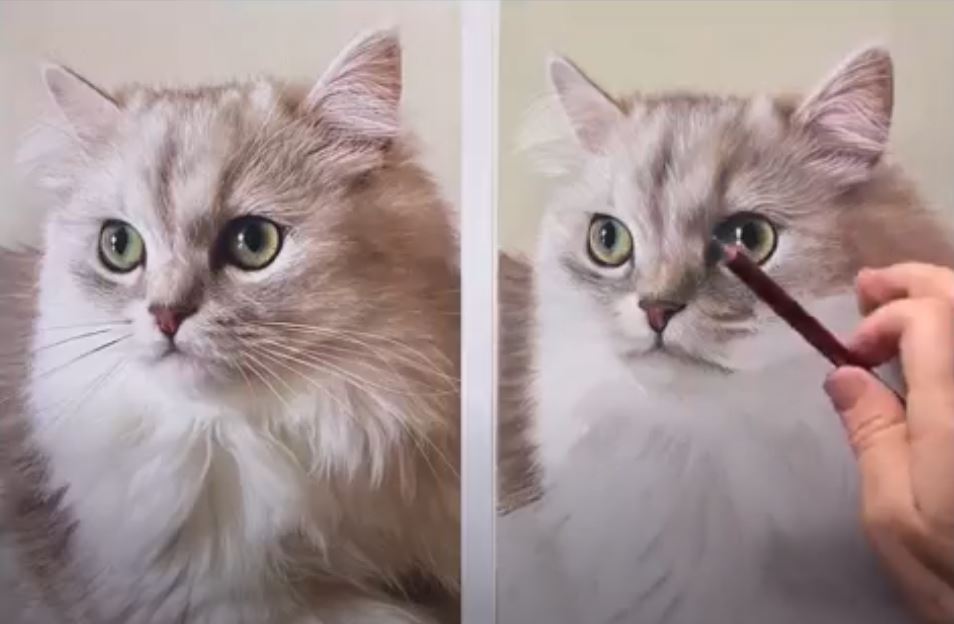 From Julie Freeman's Pastel Live demo on how to paint a realistic cat portrait