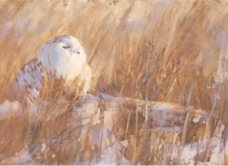 Loosen Up and Let Your Work Shine