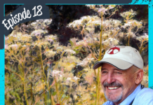 Pastel Podcast Episode 18: Skip Whitcomb
